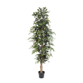 ARTIFICIAL Ficus Benjamina - 205cm