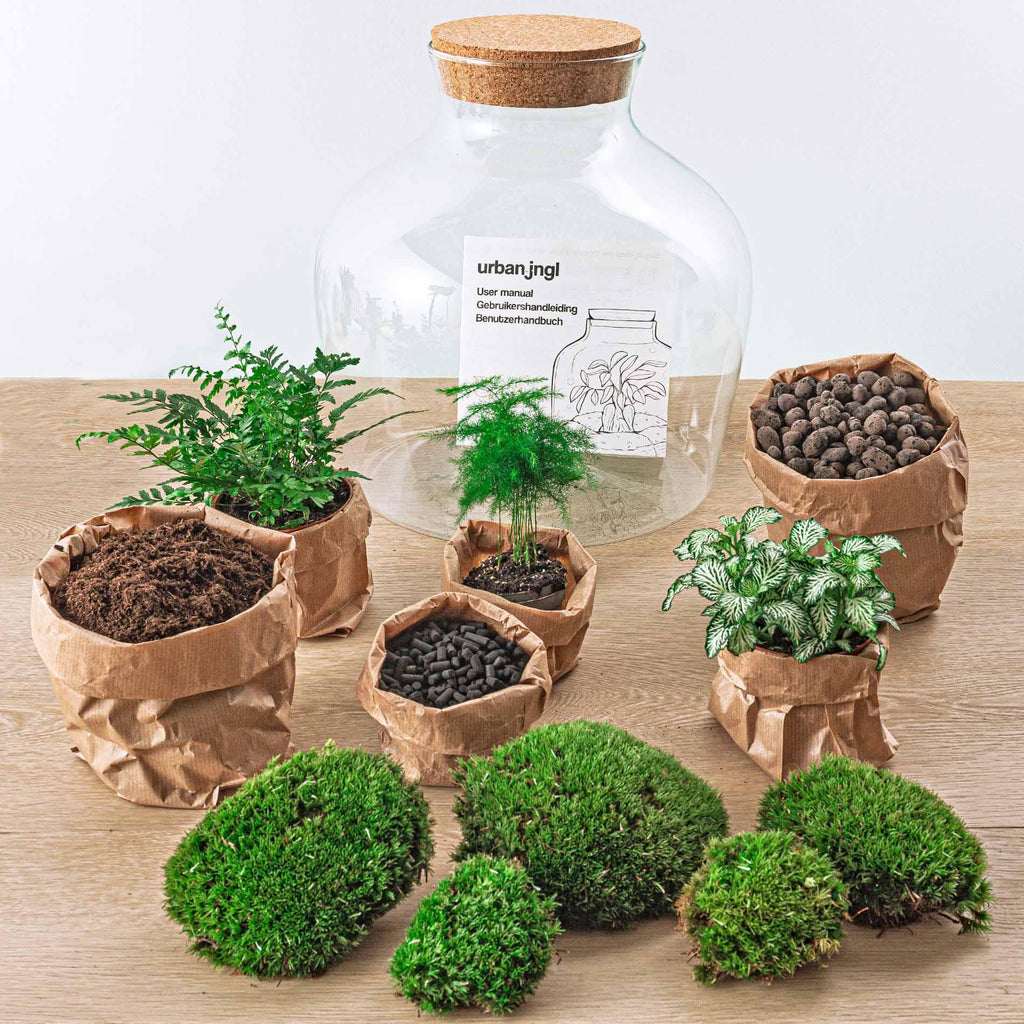 DIY Planten terrarium met licht - Fat Joe Green - Ø 29 cm ↑ 30 cm - Rake + Shovel
