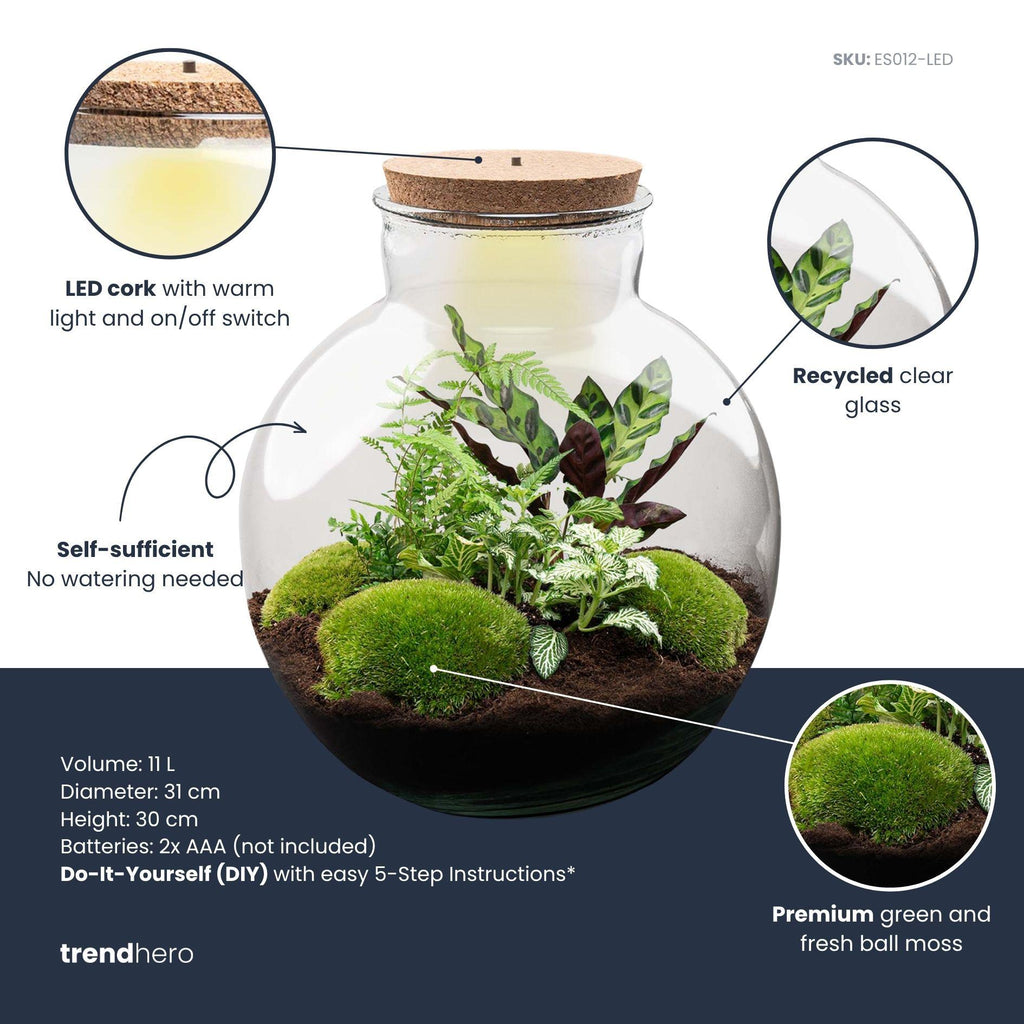 DIY Planten terrarium (met verlichting) - Bolder Bob - Ø 31 cm ↑ 30 cm - Rake + Shovel