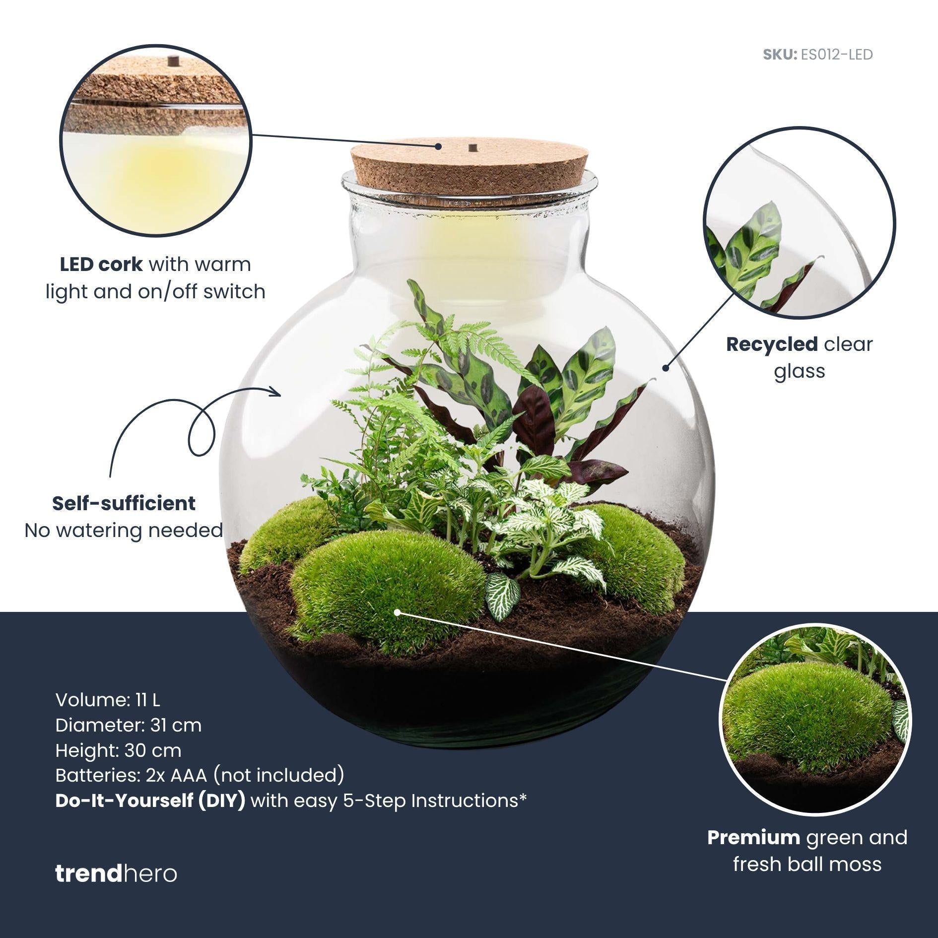 DIY Planten terrarium (met verlichting) - Bolder Bob - Ø 31 cm ↑ 30 cm - Rake + Shovel