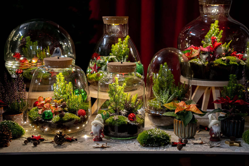 Tinsel Kerstmis terrarium - Planten terrarium  - DIY kit Christmas - Ø 19 cm ↑ 20 cm