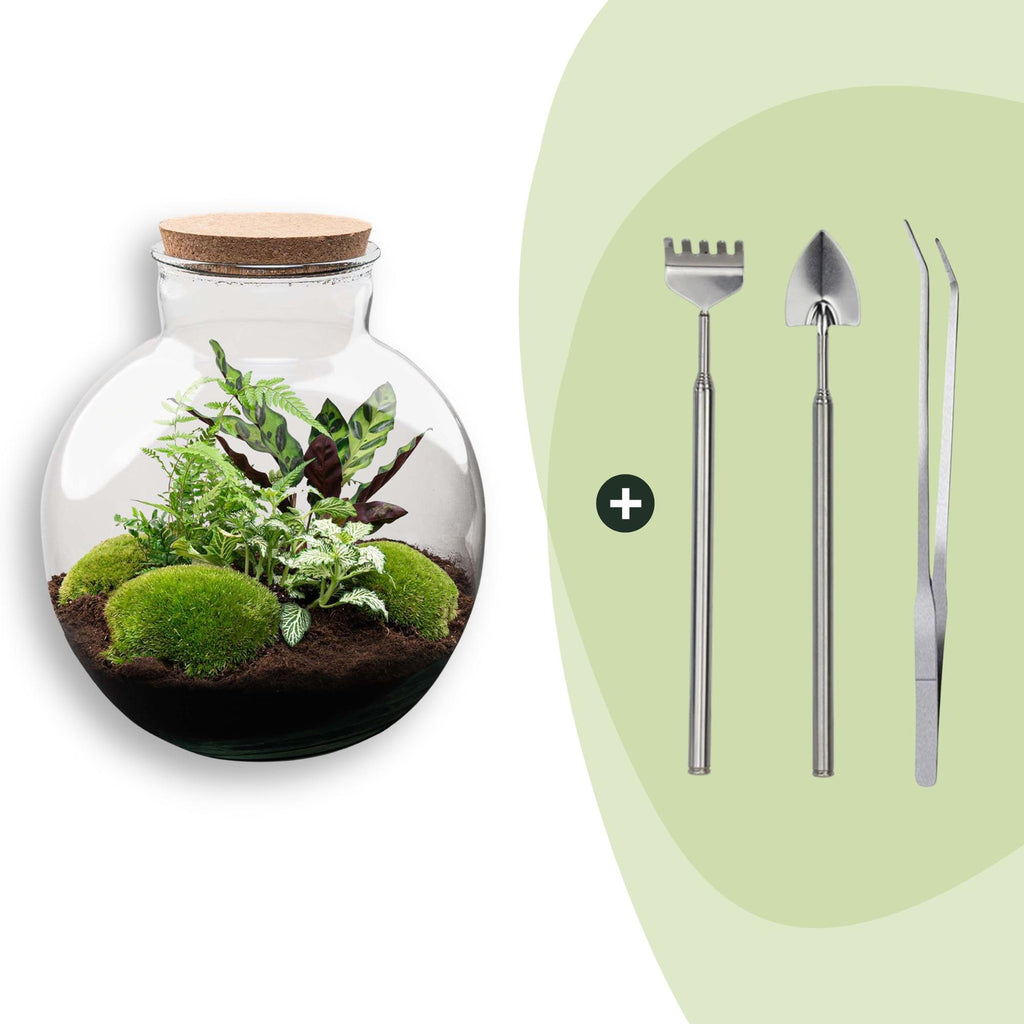 DIY Planten terrarium (met verlichting) - Bolder Bob - Ø 31 cm ↑ 30 cm - Rake + Shovel + Tweezer