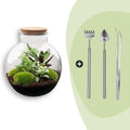 DIY Planten terrarium (met verlichting) - Bolder Bob - Ø 31 cm ↑ 30 cm - Rake + Shovel + Tweezer
