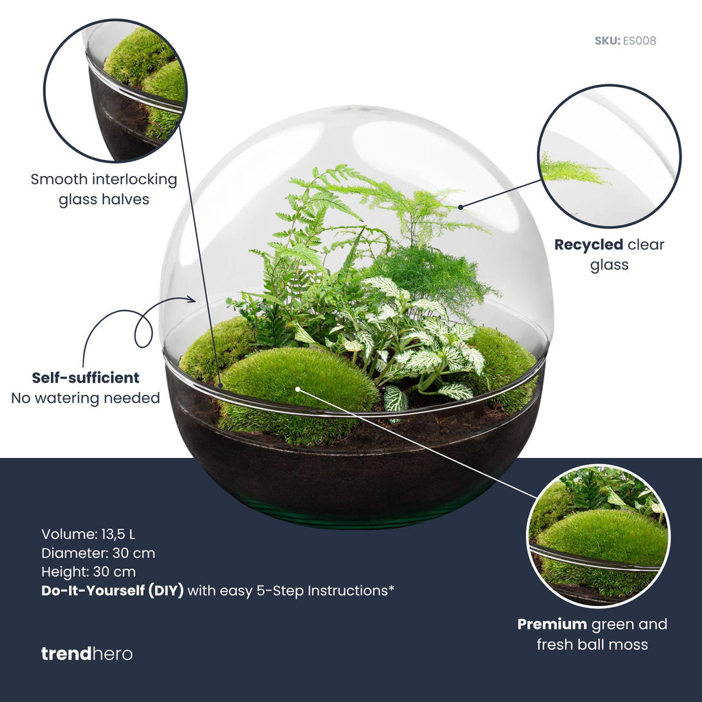 DIY Planten terrarium tweedelig bolglas - Dome XL -Ø 28 cm ↑ 28 cm - Rake + Shovel + Tweezer