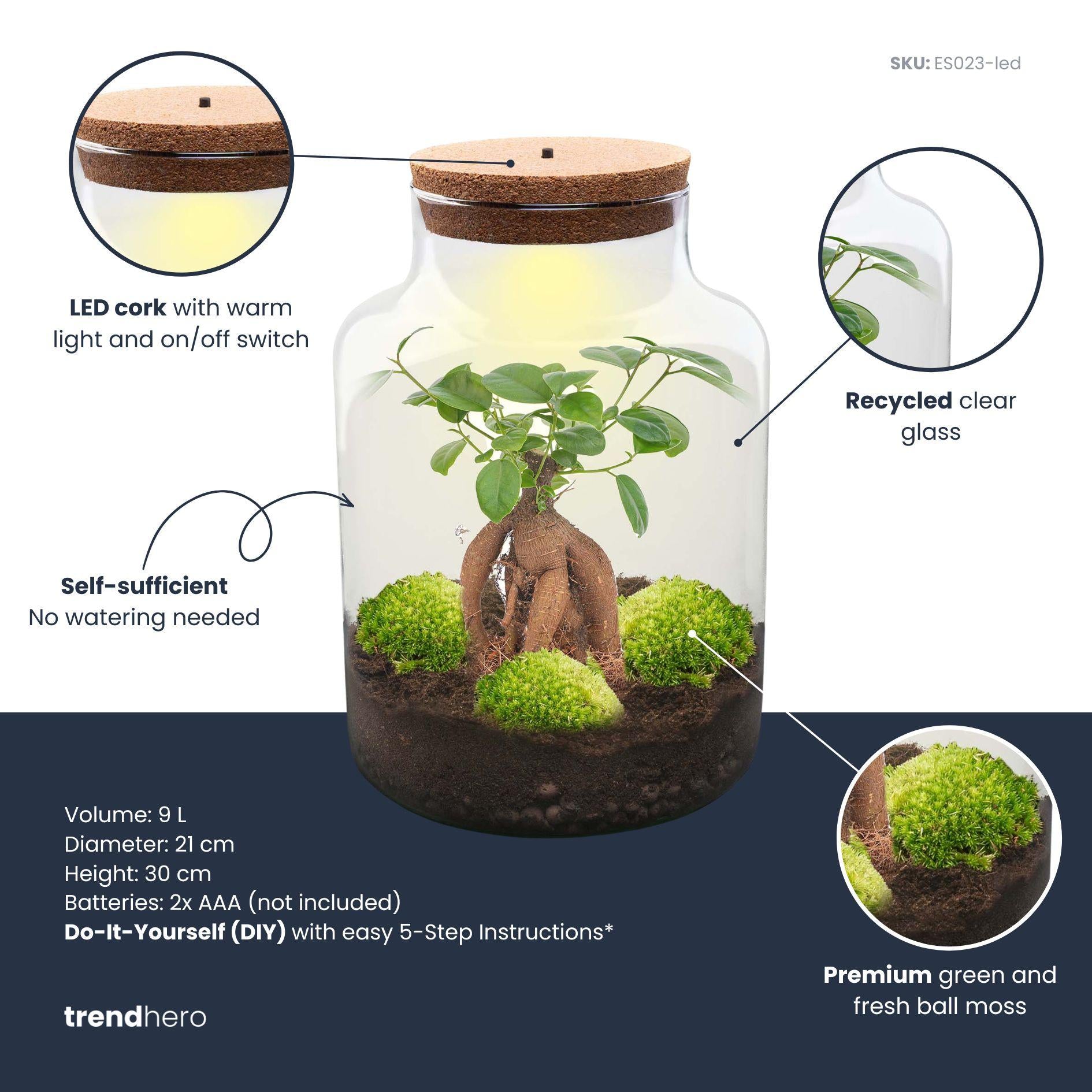 DIY Planten terrarium met licht - Milky Bonsai - Ø 21 cm ↑ 30 cm - Rake + Shovel + Tweezer