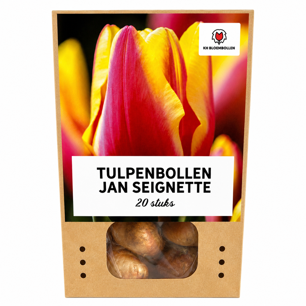 Tulpenbollen Jan Seignette – 20 Stuks | KH Bloembollen® | Rood-Geel Gestreepte Tulp – Klassiek & Opvallend – Voor Tuin of Pot – Maat 11/12 – Vers van de Teler