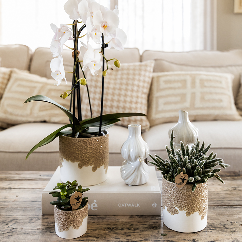 Kolibri Home | Bloom sierpot - Sand - Ø6cm