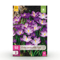 Bloembollen - Crocus Ruby Giant - Kleur Paars - 50 stuks - Bolmaat 5/6 - XXL Pack