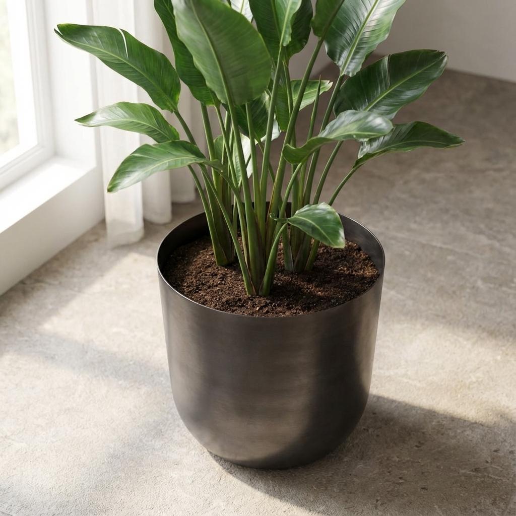 Pot Mayk Lead - D20