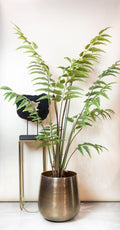 Kunstplant - Rumohra Adiantiformis - Ledervaren - 180 cm