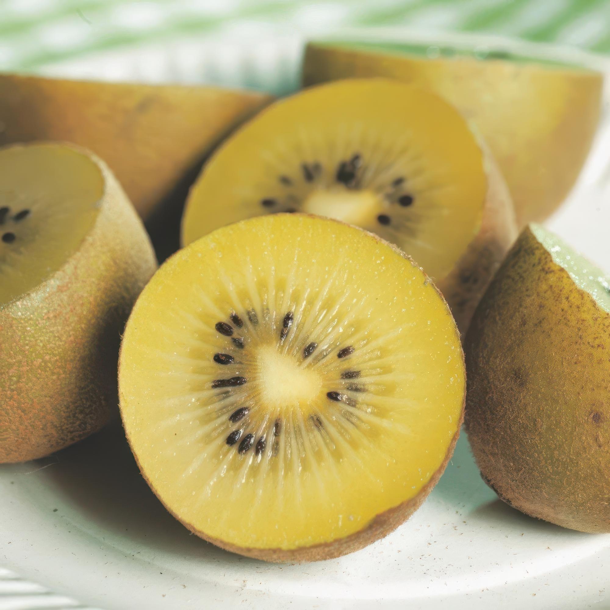 Fruitplant - Actinidia deliciosa Golden Kiwi - Kiwiplant - Vrouwelijk - Gele Vrucht - 2 Planten - Pot 15cm - Hoogte 50cm