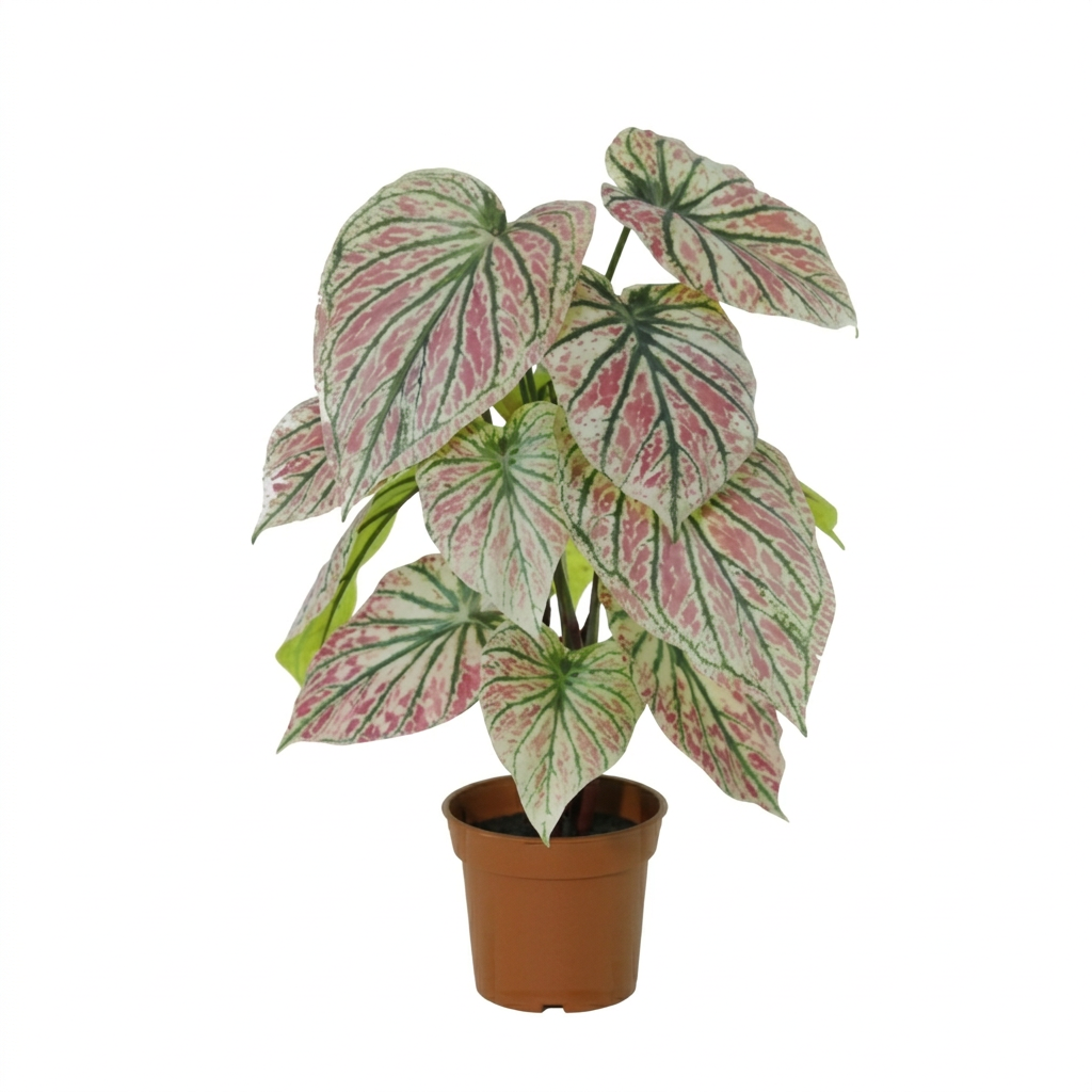 ARTIFICIAL Caladium green / pink - 57cm