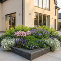Vasteplant - Borderpakket - Bodembedekend - Diversen - Soorten en kleuren - 6 Planten - Pot 11cm - Hoogte 15-25cm