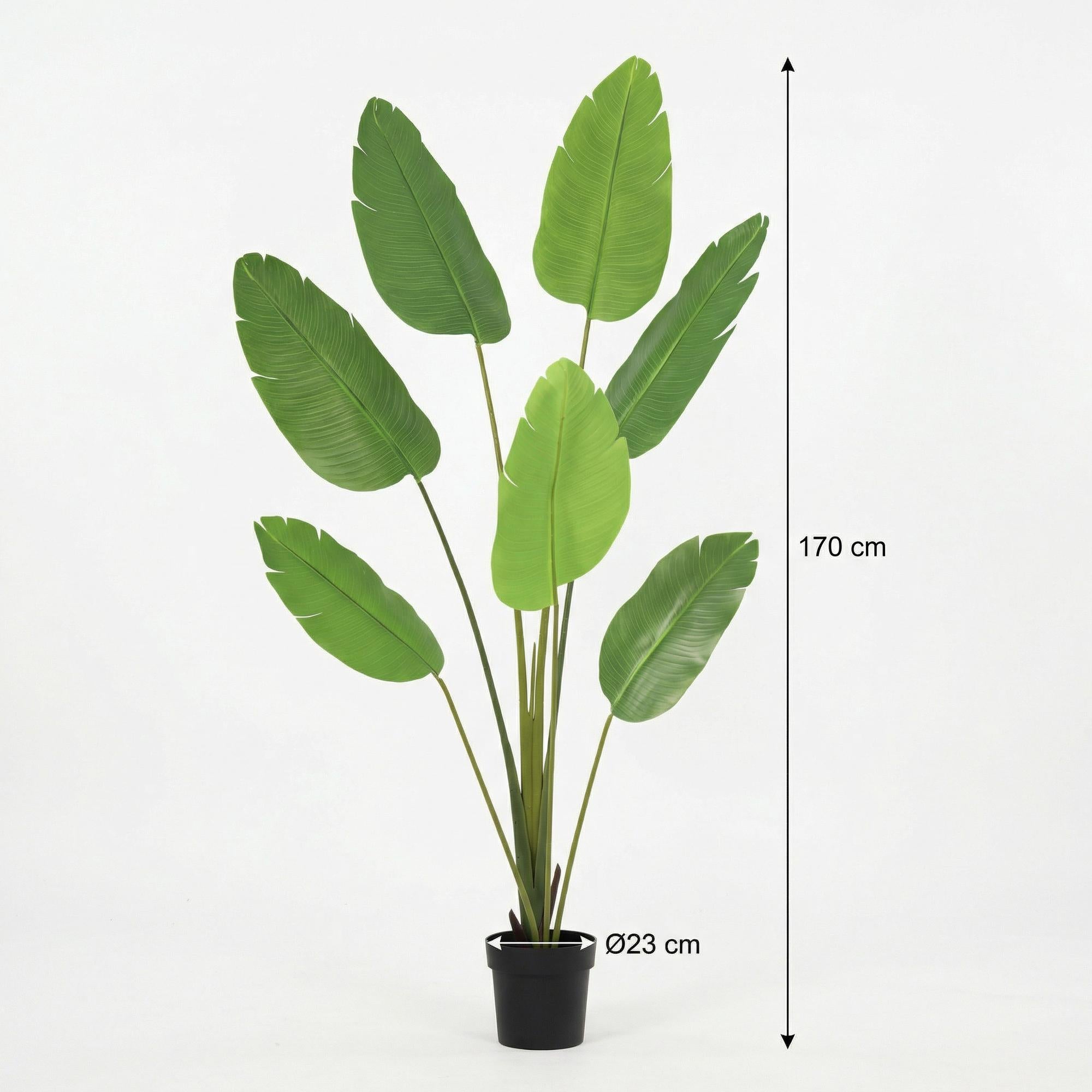 ARTIFICIAL Strelitzia Nicolai - 170cm