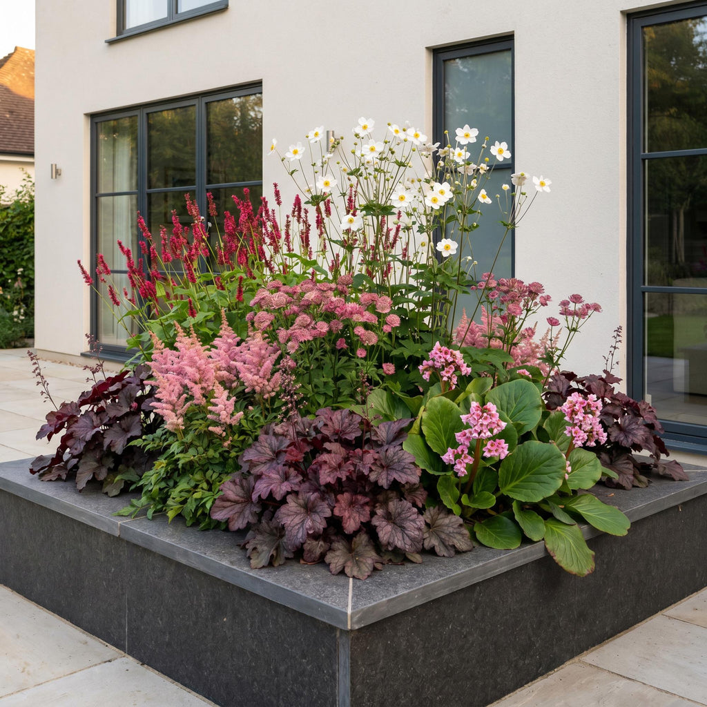 Vasteplant - Borderpakket - Schaduw - Diversen - Soorten en kleuren - 6 Planten - Pot 11cm - Hoogte 15-25cm