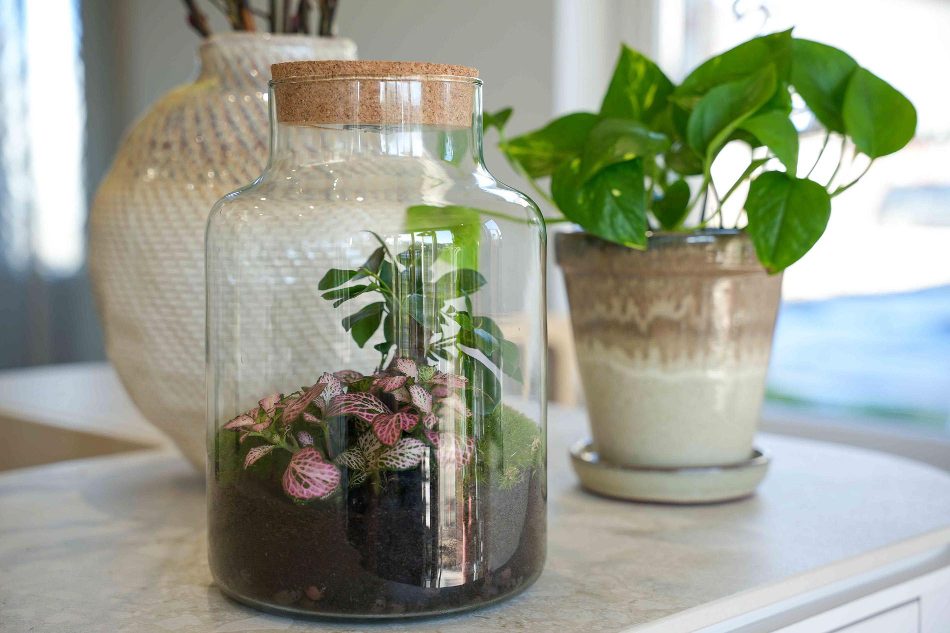 'LOVE MOM' terrarium Little Milky + gegraveerde kurk met licht - Fles terrarium DIY kit - Ø 17 cm ↑ 25 cm - Moederdag