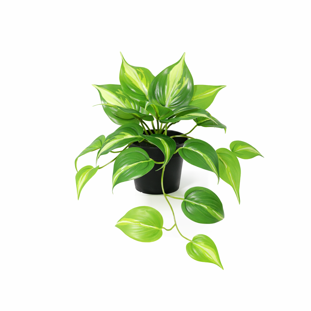 ARTIFICIAL Epipremnum Variegata - 23cm