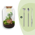 DIY terrarium - Sven XL Bonsai - Met verlichting - ↕ 43 cm - Rake + Shovel + Tweezer