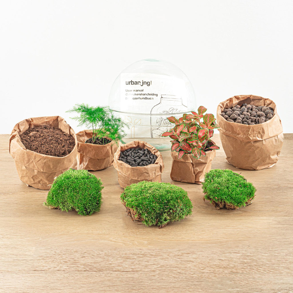 DIY Planten terrarium tweedelig bolglas - Dome Red - Ø 20 cm ↑ 20 cm   - Rake + Shovel + Tweezer