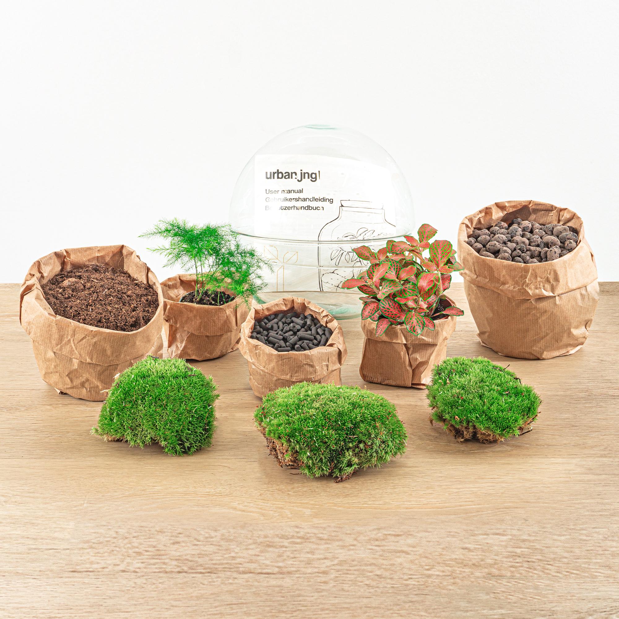DIY Planten terrarium tweedelig bolglas - Dome Red - Ø 20 cm ↑ 20 cm   - Rake + Shovel + Tweezer