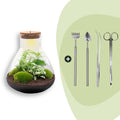 DIY Planten terrarium met licht - Sam XL Green - Ø 30 cm ↑ 32 cm - Rake + Shovel + Tweezer + Scissors
