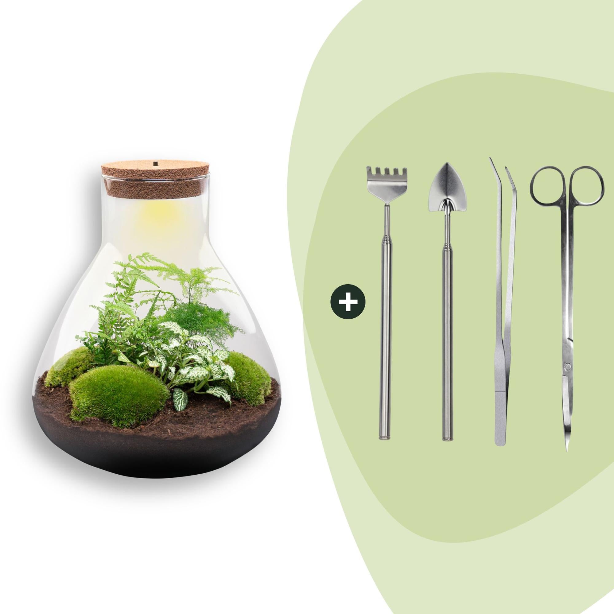 DIY Planten terrarium met licht - Sam XL Green - Ø 30 cm ↑ 32 cm - Rake + Shovel + Tweezer + Scissors