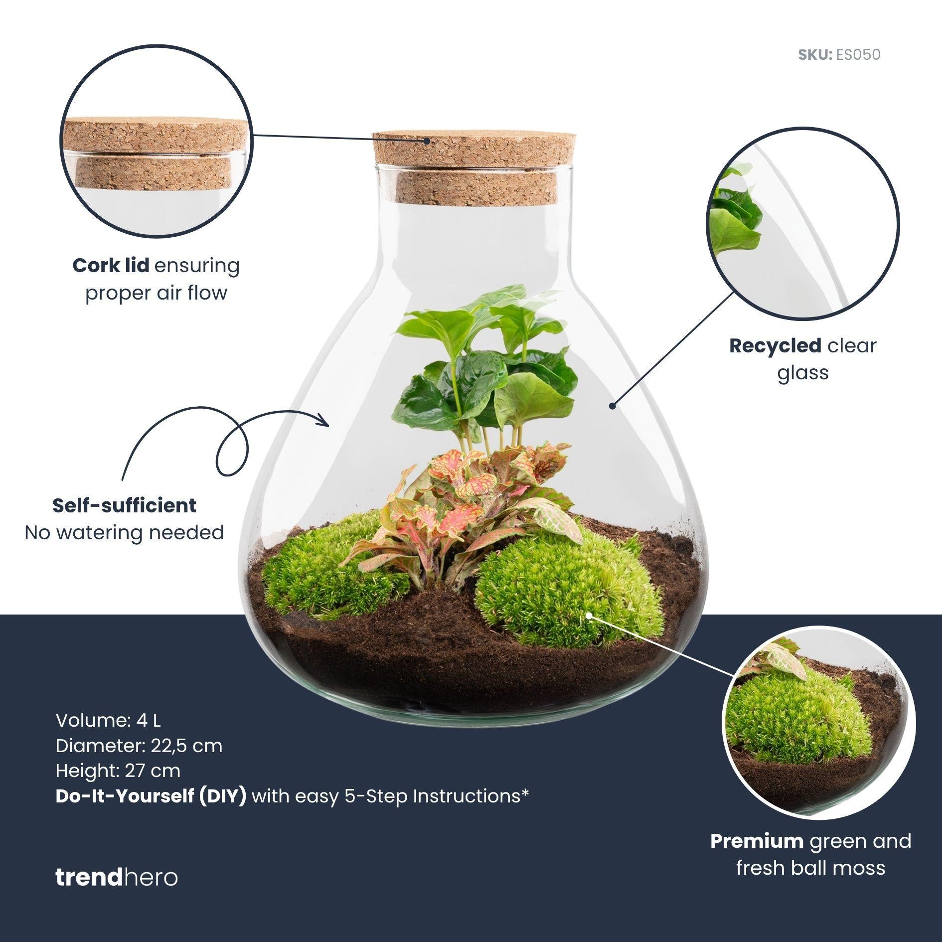 DIY terrarium - Sammie Coffea Red - Ø 22,5 cm ↑ 27 cm - Rake + Shovel + Tweezer + Scissors
