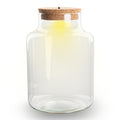 Terrarium fles met verlichting - Little Milky - Ø 17 cm ↑ 25 cm