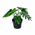 ARTIFICIAL Philodendron Xanadu - 20cm