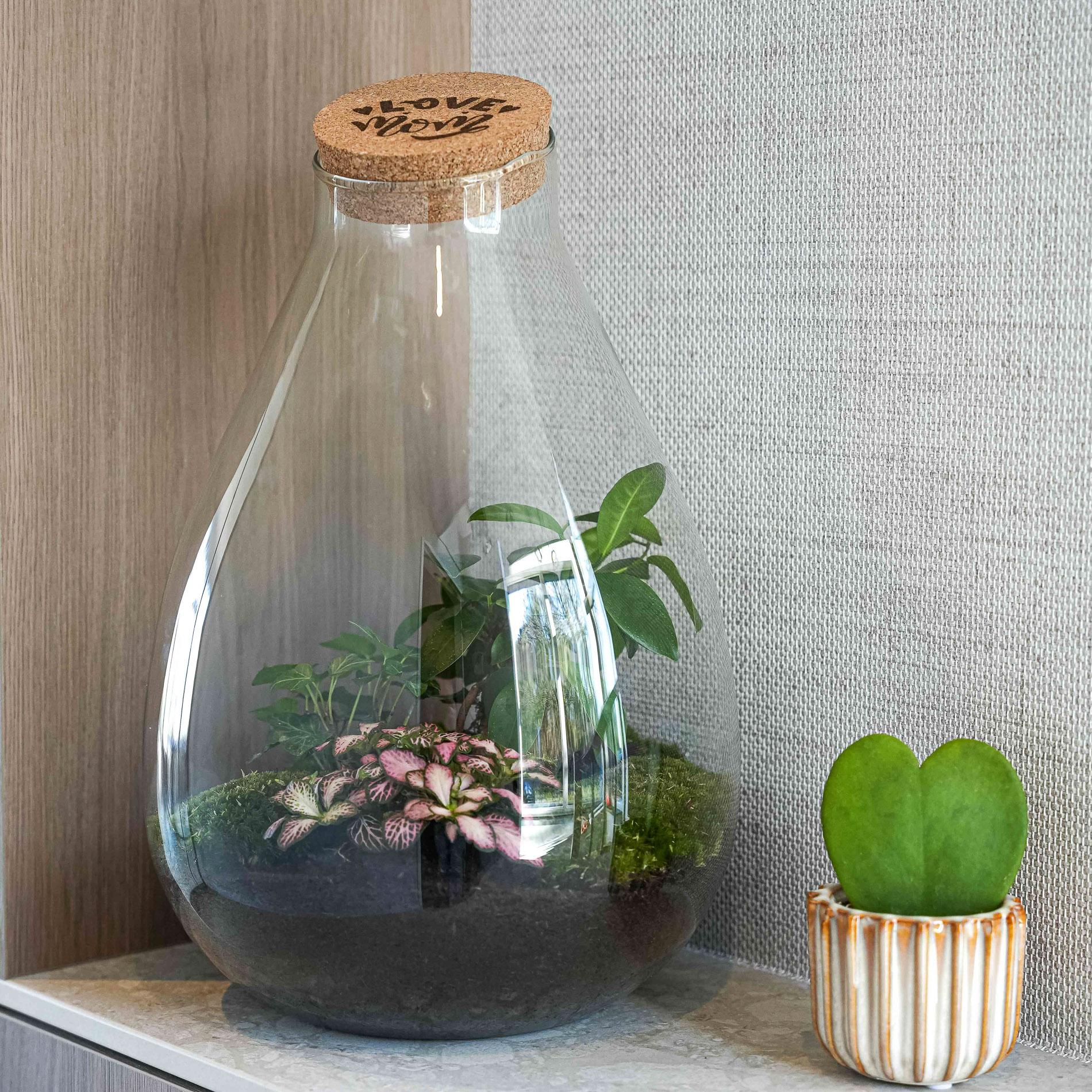 'LOVE MOM' terrarium Drop XL + gegraveerde kurk - Fles terrarium DIY kit – Ø 24 cm ↑ 37 cm - Moederdag