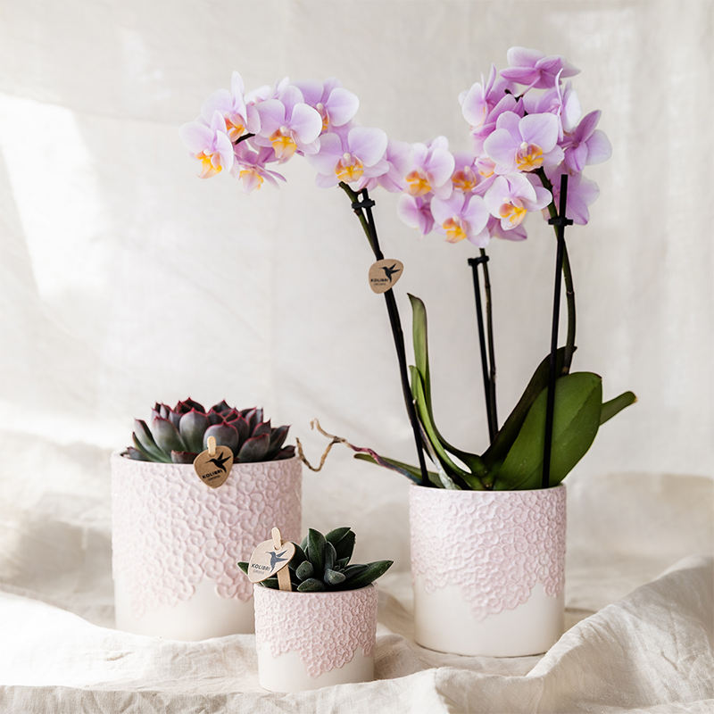 Kolibri Home | Bloom sierpot - Pink - Ø9cm