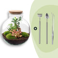 DIY Planten terrarium - Bolder Bob Bonsai - Ø 31 cm ↑ 30 cm - Rake + Shovel + Tweezer