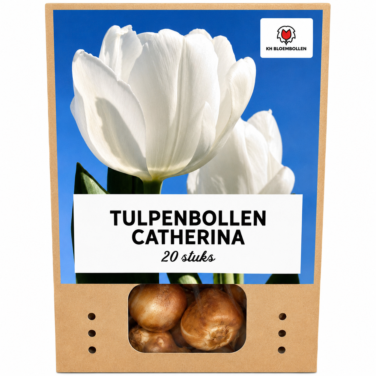 Tulpenbollen Catherina – 20 Stuks | KH Bloembollen® | Zuiver Witte Tulp – Tijdloos & Elegant – Voor Tuin of Pot – Maat 11/12 – Vers van de Teler