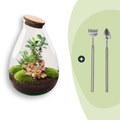DIY Planten terrarium - Drop XL Bonsai 'red' - Ø 24 cm ↑ 37 cm - Rake + Shovel