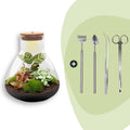 DIY Planten terrarium met licht - Sam XL Red - Ø 30 cm ↑ 32 cm - Rake + Shovel + Tweezer + Scissors