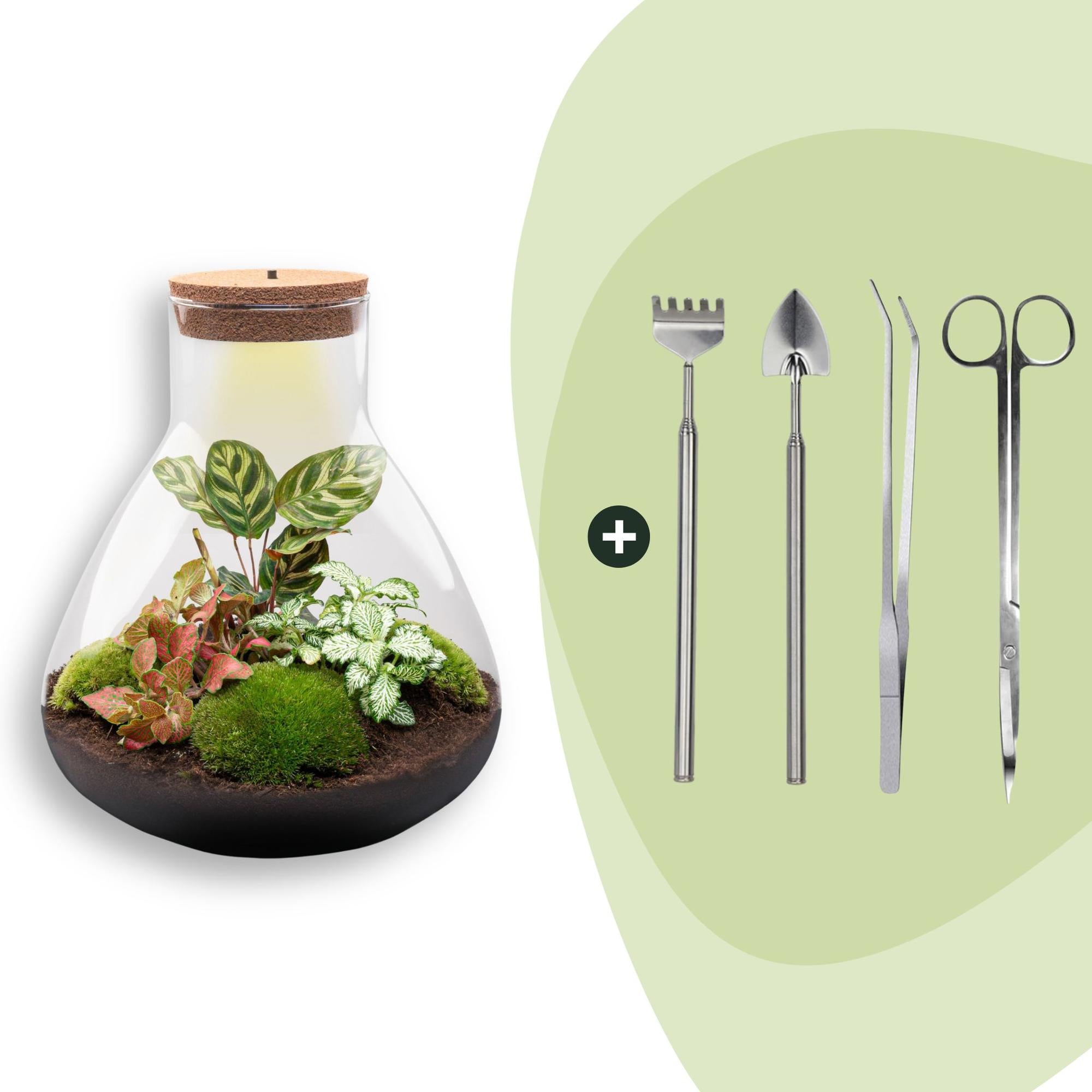 DIY Planten terrarium met licht - Sam XL Red - Ø 30 cm ↑ 32 cm - Rake + Shovel + Tweezer + Scissors