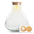 Terrarium fles met verlichting - Sam XL - Ø 30 cm ↑ 32 cm