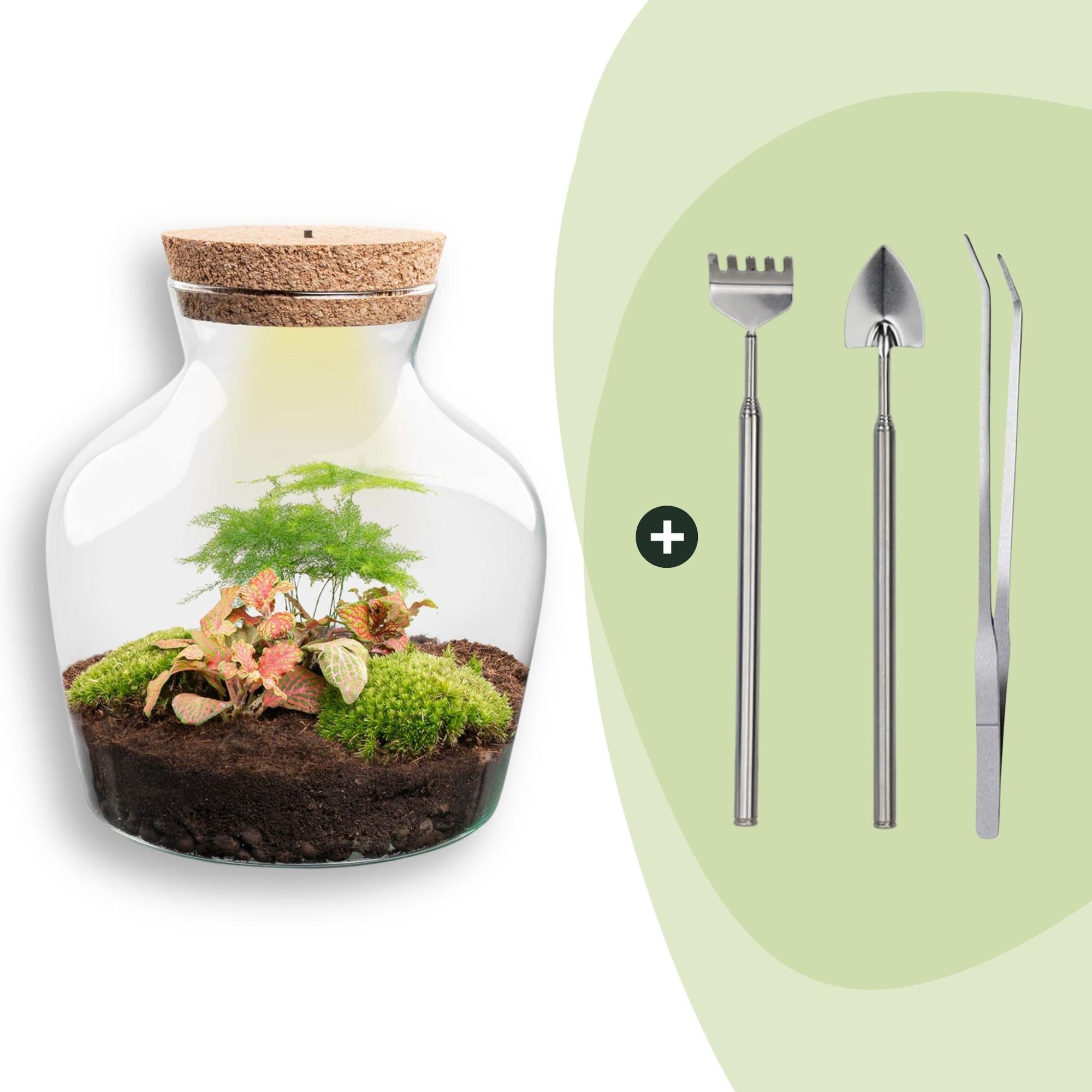 DIY terrarium - Little Joe met licht - ↕ 21,5 cm - Rake + Shovel + Tweezer