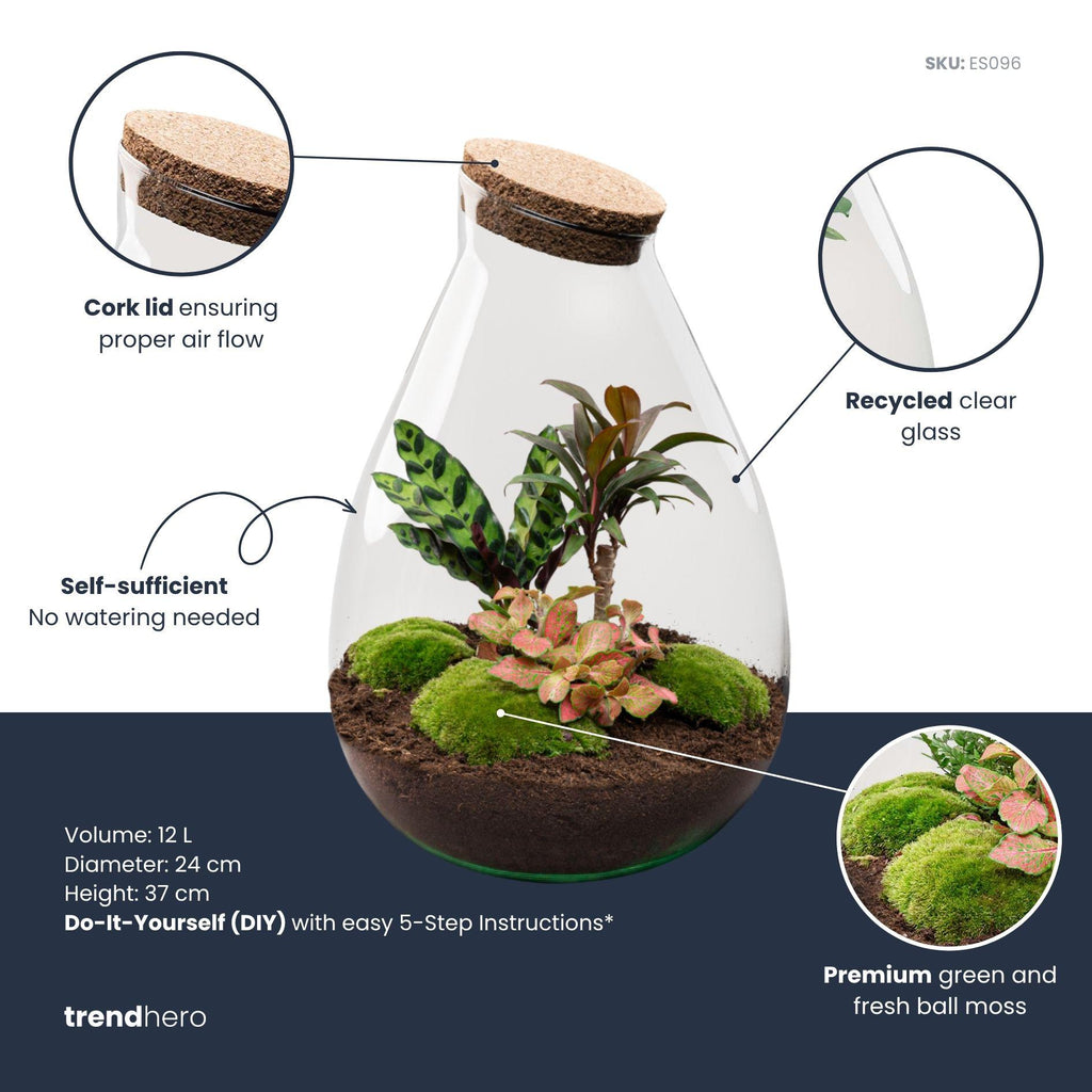 DIY Planten terrarium - Drop XL Palm - Ø 24 cm ↑ 37 cm - Rake + Shovel