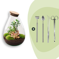 DIY Planten terrarium - Drop XL Bonsai 'red' - Ø 24 cm ↑ 37 cm - Rake + Shovel + Tweezer + Scissors