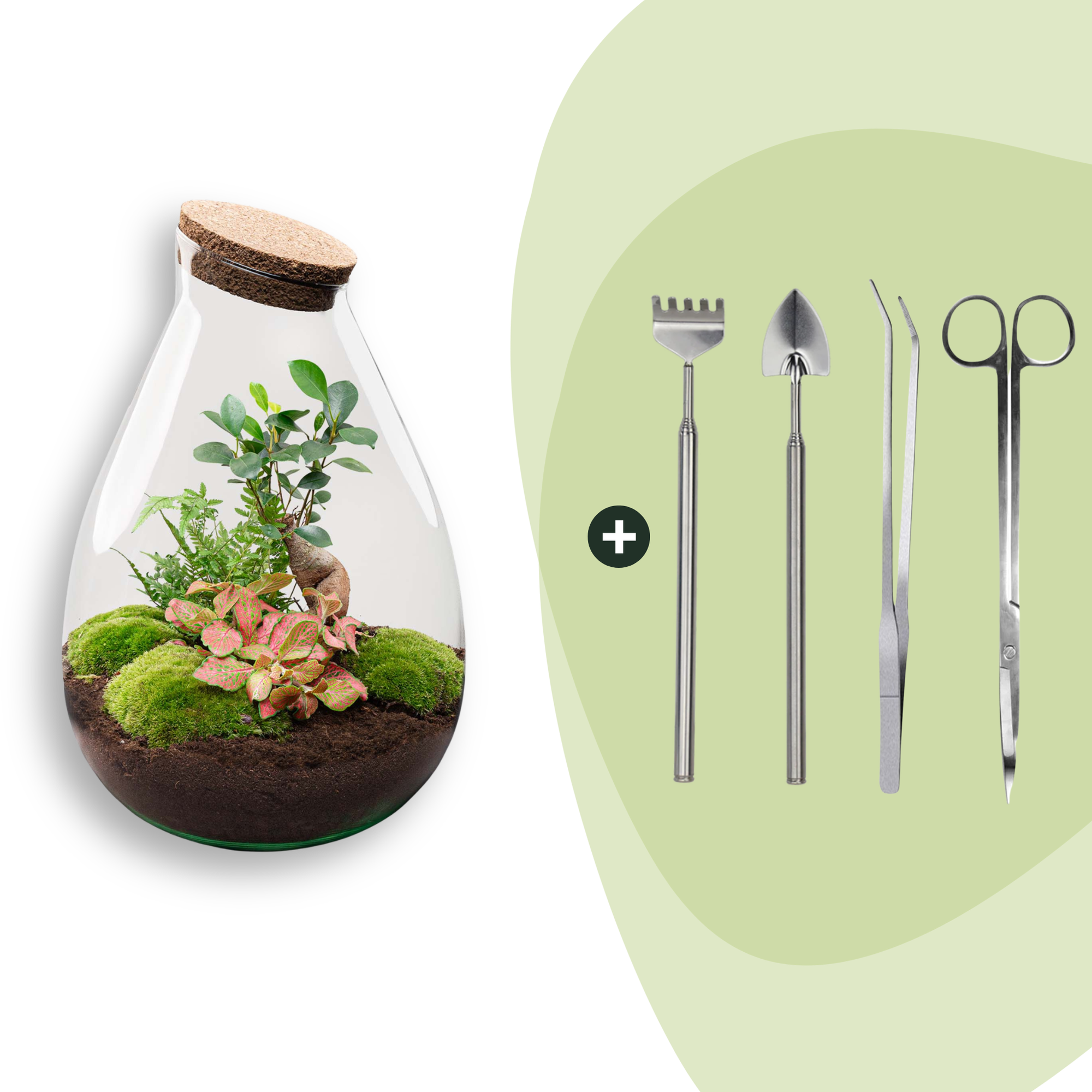 DIY Planten terrarium - Drop XL Bonsai 'red' - Ø 24 cm ↑ 37 cm - Rake + Shovel + Tweezer + Scissors