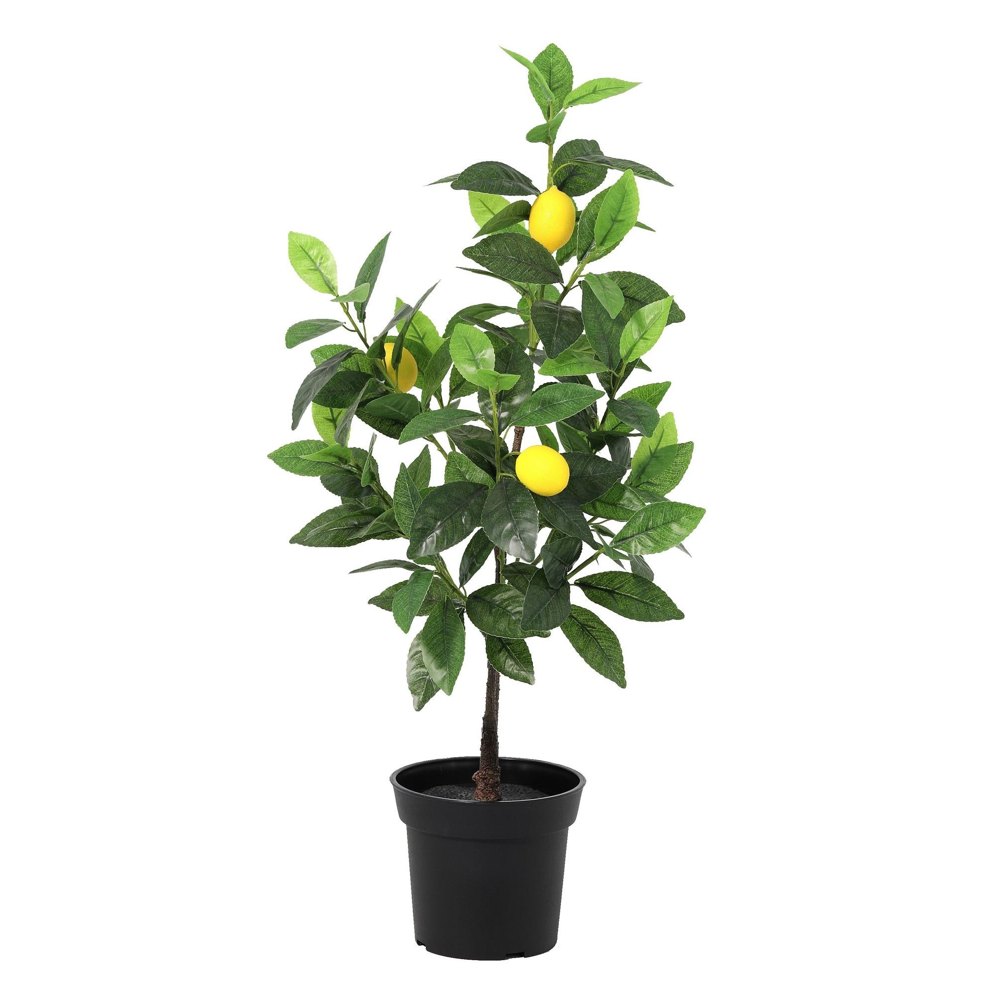 ARTIFICIAL Citroenboom - 65cm