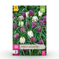 Bloembollen - Fritillaria Meleagris Mix - Kleur Paars en Wit - 30 stuks - Bolmaat 6/7 - XXL Pack