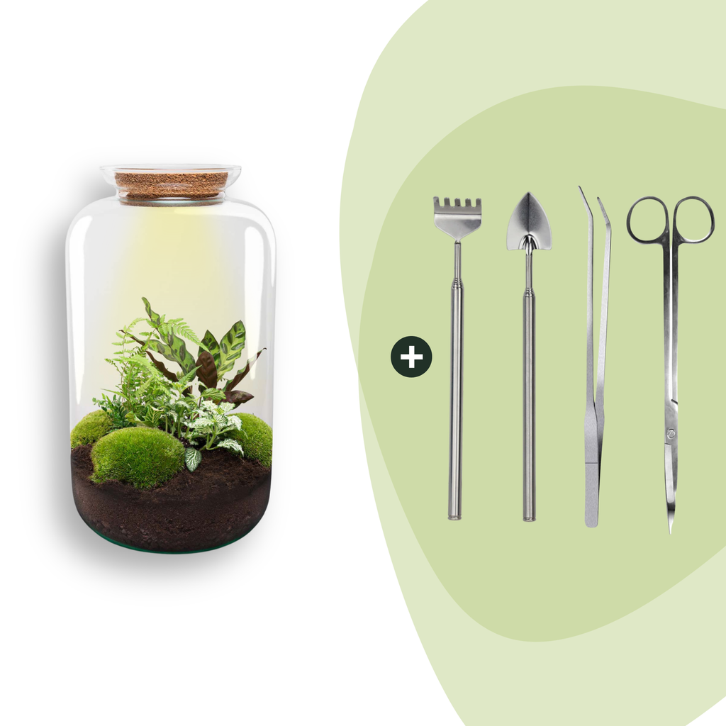 DIY Planten terrarium met licht - Sven XL Botanical - Ø 23 cm ↑ 43 cm - Rake + Shovel + Tweezer + Scissors