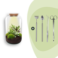DIY Planten terrarium met licht - Sven XL Botanical - Ø 23 cm ↑ 43 cm - Rake + Shovel + Tweezer + Scissors