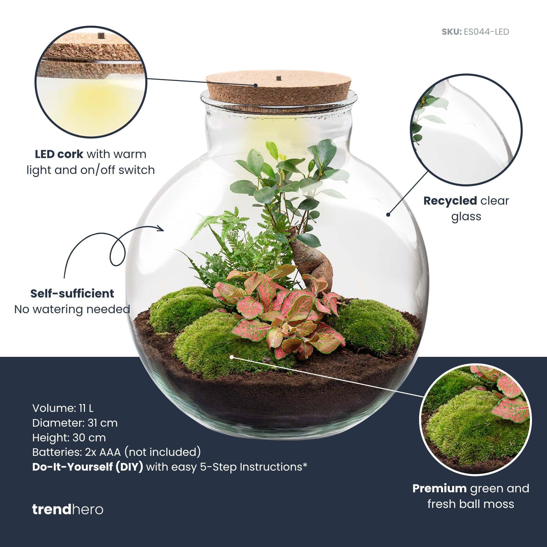 DIY Planten terrarium met licht - Bolder Bob Bonsai - Ø 31 cm ↑ 30 cm