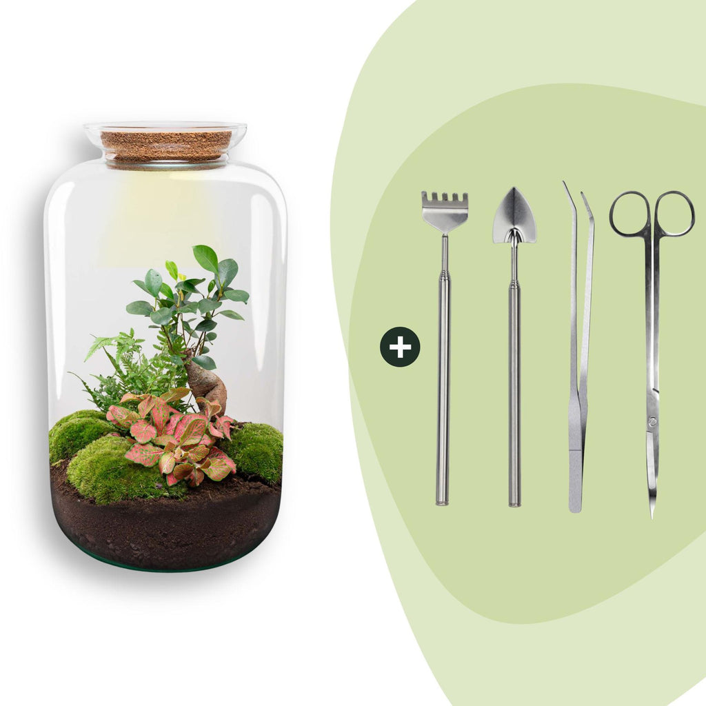 DIY terrarium - Sven XL Bonsai - Met verlichting - ↕ 43 cm - Rake + Shovel + Tweezer + Scissors
