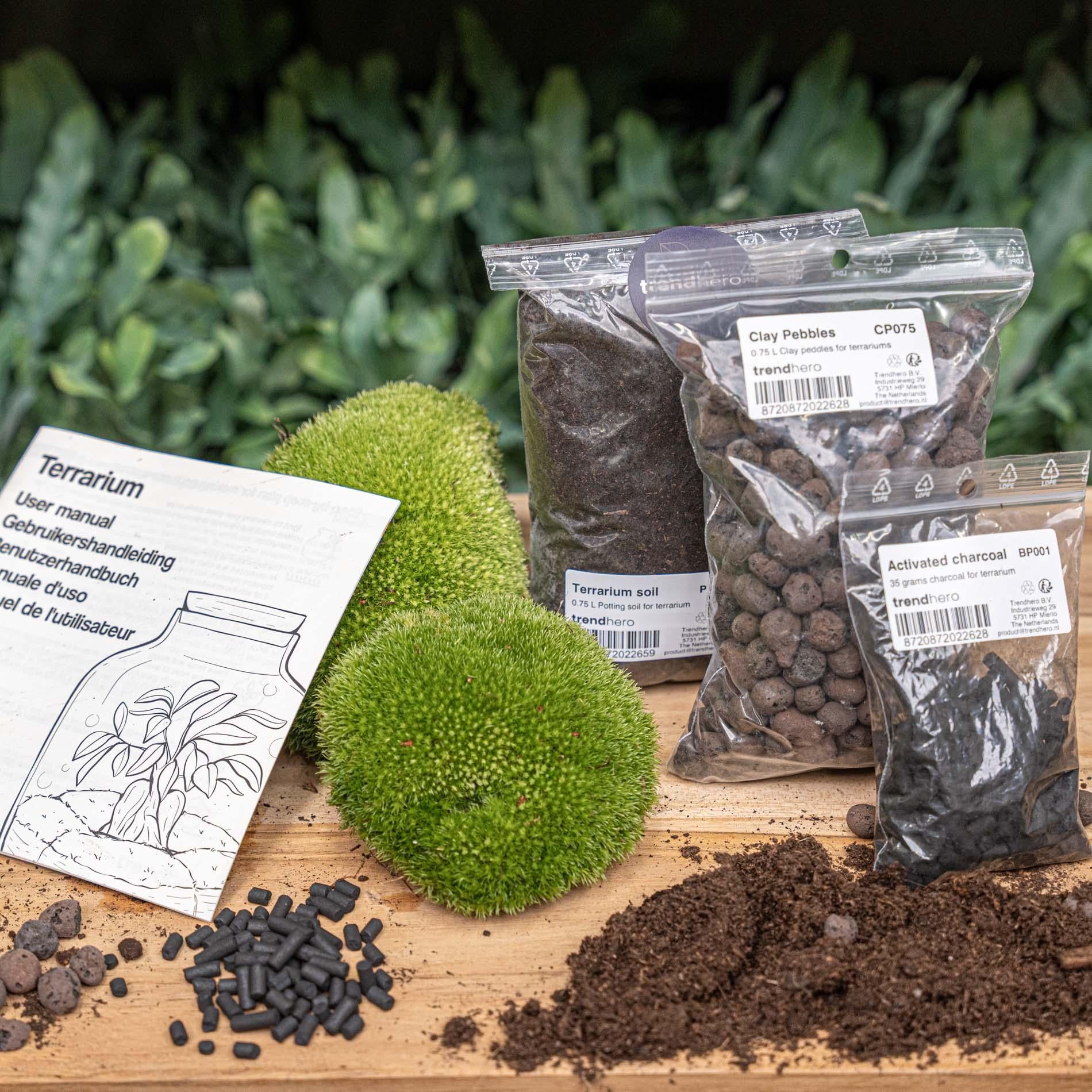 Planten terrarium navulling & startpakket - Maat S/M