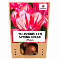 Tulpenbollen Spring Break – 20 Stuks | KH Bloembollen® | Rood-Oranje Tulp – Vurig, Energiek & Opvallend – Voor Tuin of Pot – Maat 11/12 – Vers van de Teler