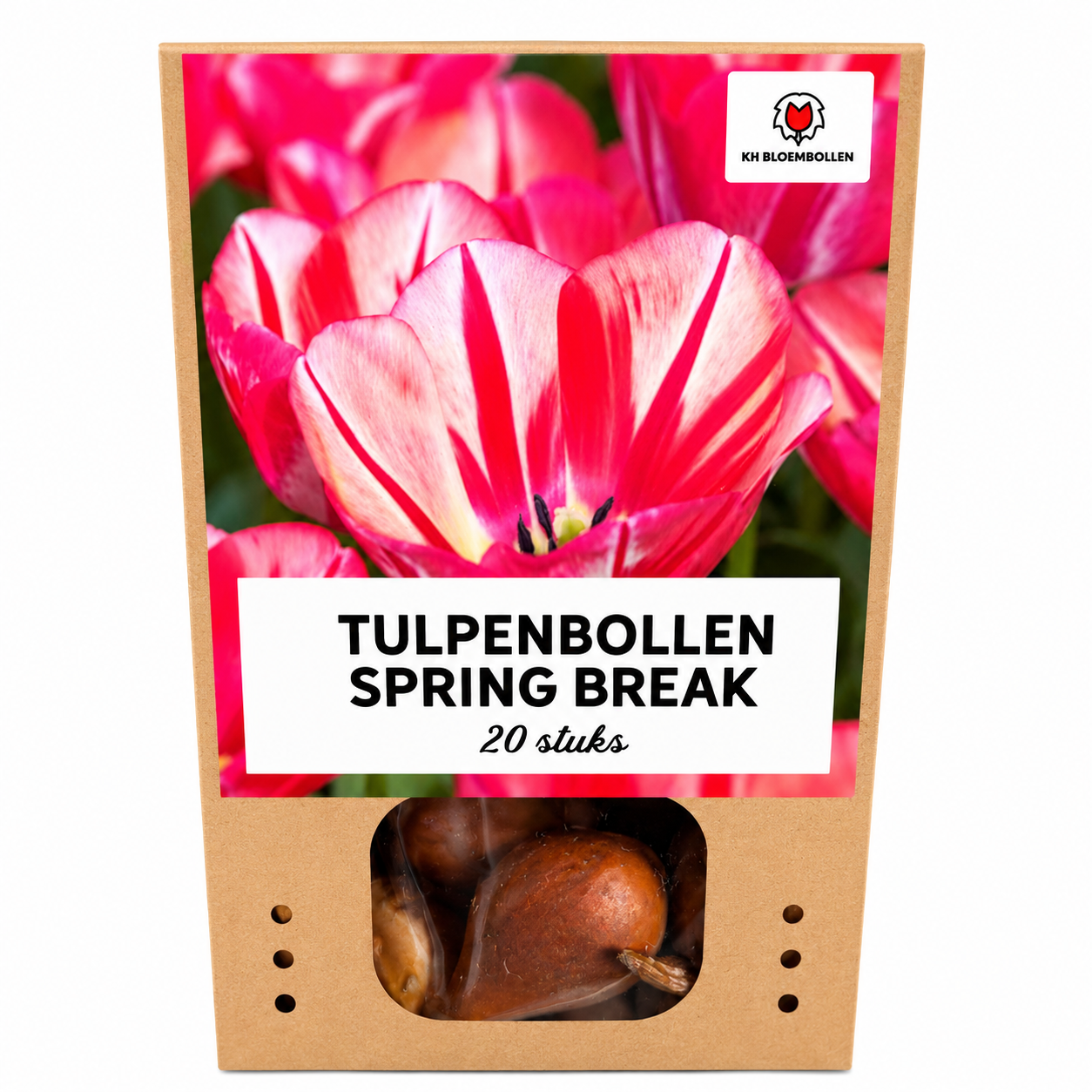 Tulpenbollen Spring Break – 20 Stuks | KH Bloembollen® | Rood-Oranje Tulp – Vurig, Energiek & Opvallend – Voor Tuin of Pot – Maat 11/12 – Vers van de Teler